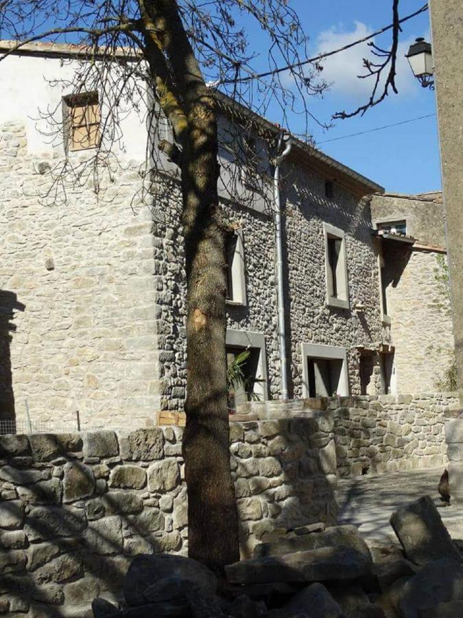 Villa Misanid Ecrin De Verdure A 15Mm De La Cite De Carcassonne Mas-des-Cours Exteriér fotografie